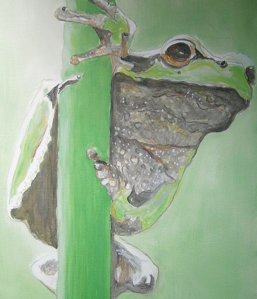  Froggy 2021(c)Ralf Weinkirn